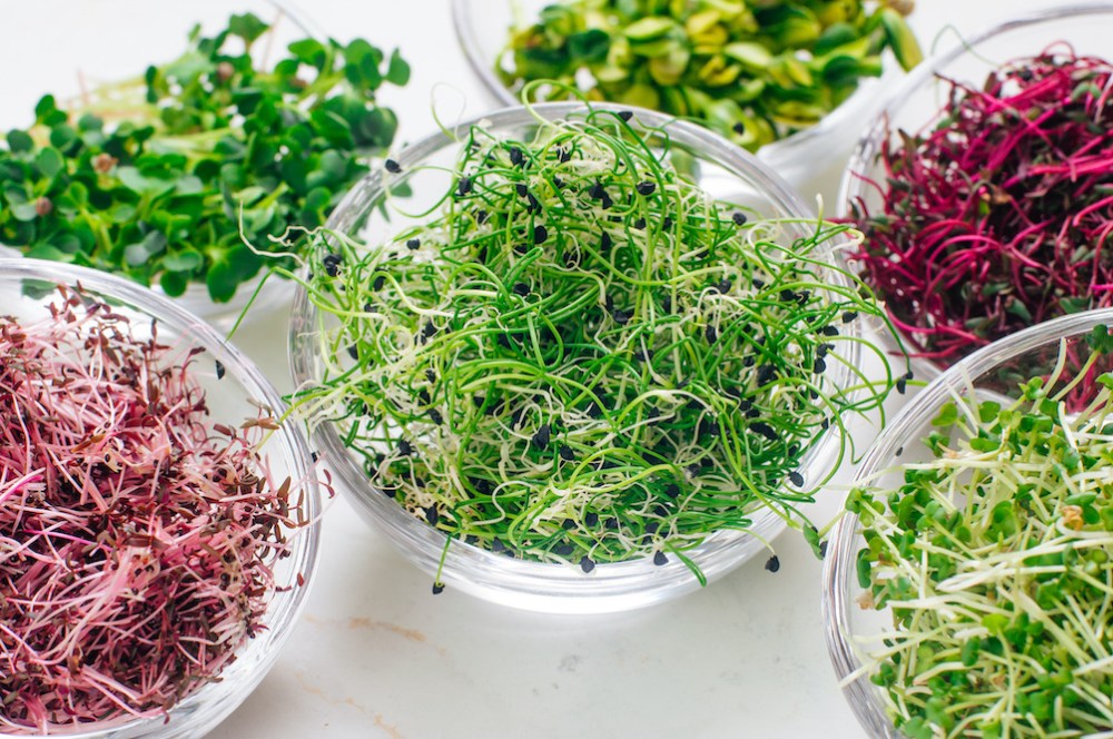 Microgreens tray (U)
