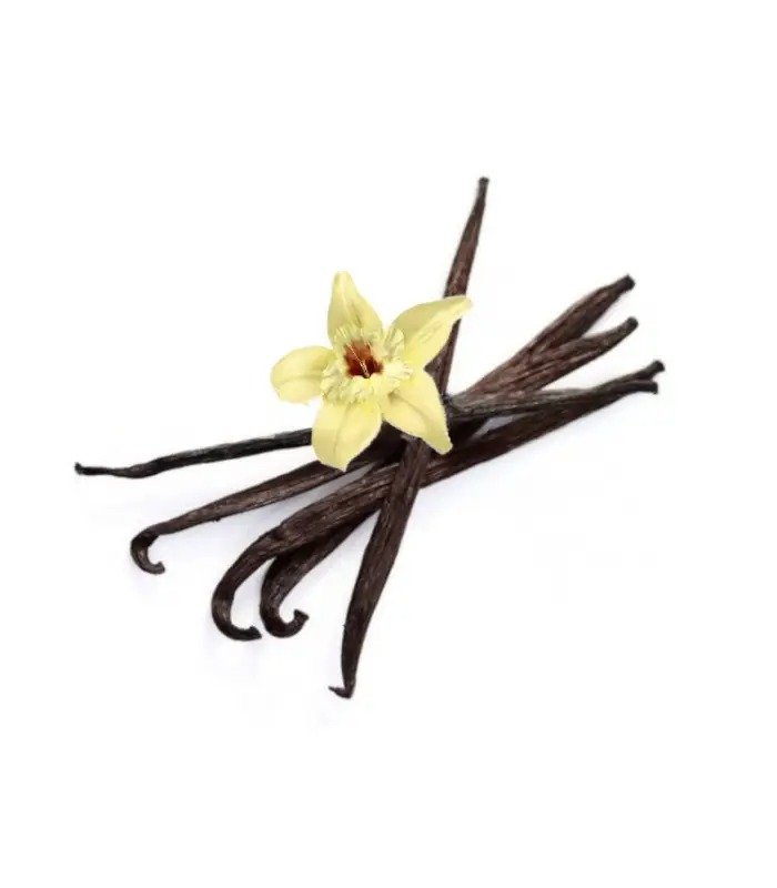 Gousses de vanille de Madagascar au Maroc (kg)