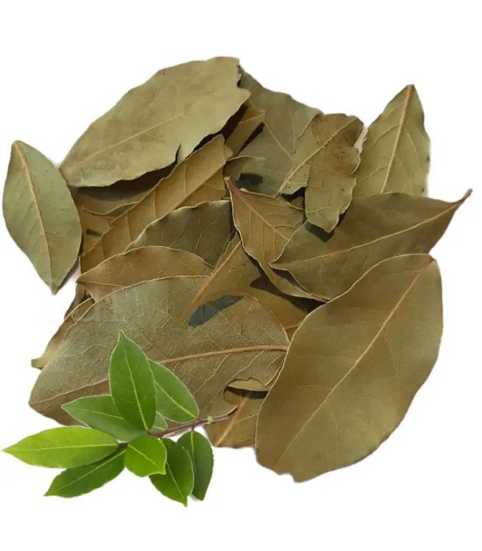 ورق سيدنا موسى (kg)