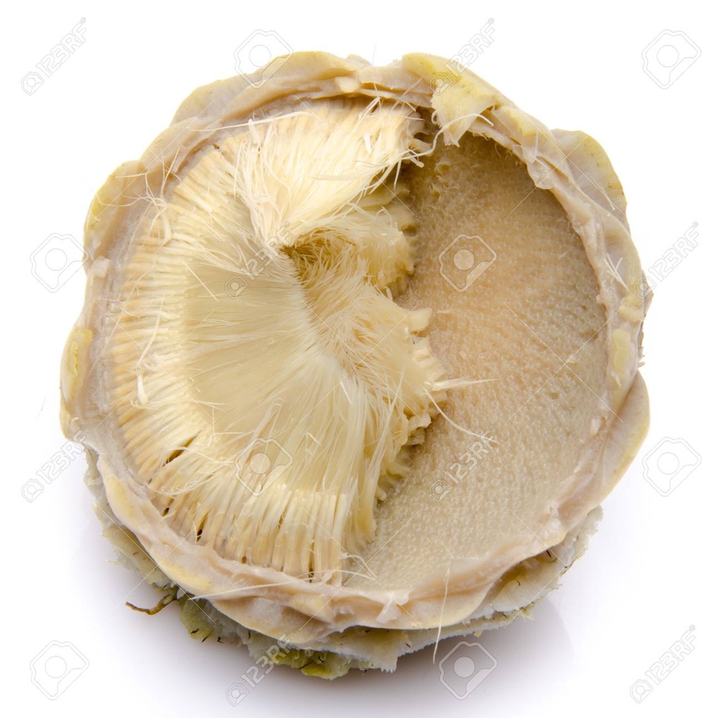 Peeled artichoke (kg)
