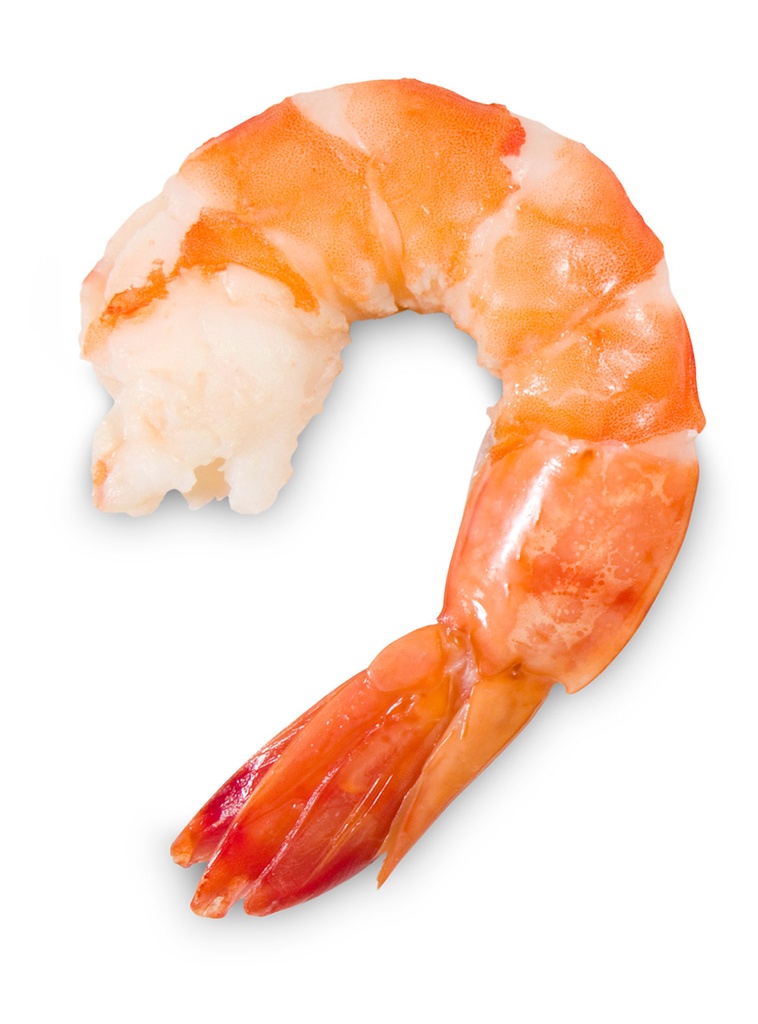 Shrimp (kg)