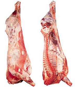Carcasse boeuf (kg)
