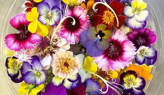 Fleur comestible (U)