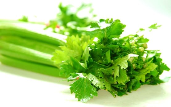 Celery (U)