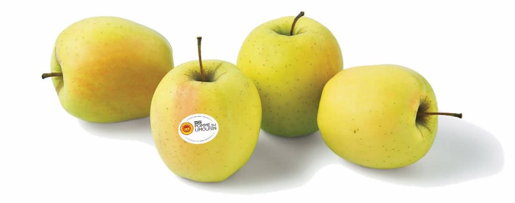 Yellow terroir apples (kg)