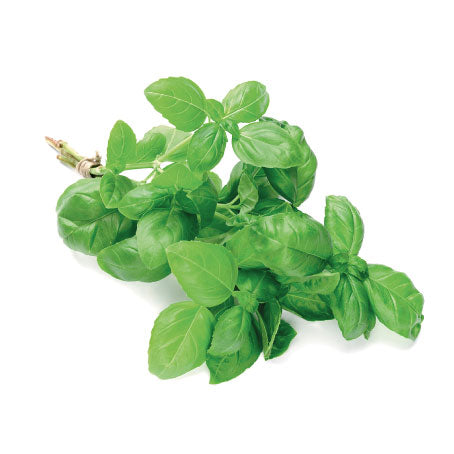 Fresh basil
