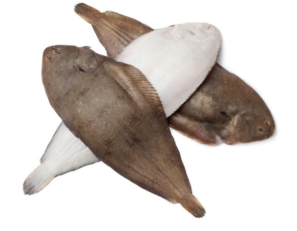 Sole à fileter