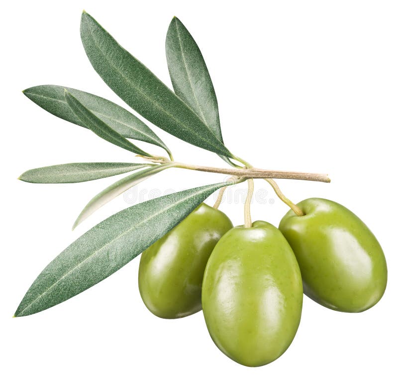 White-calibre olives (kg)
