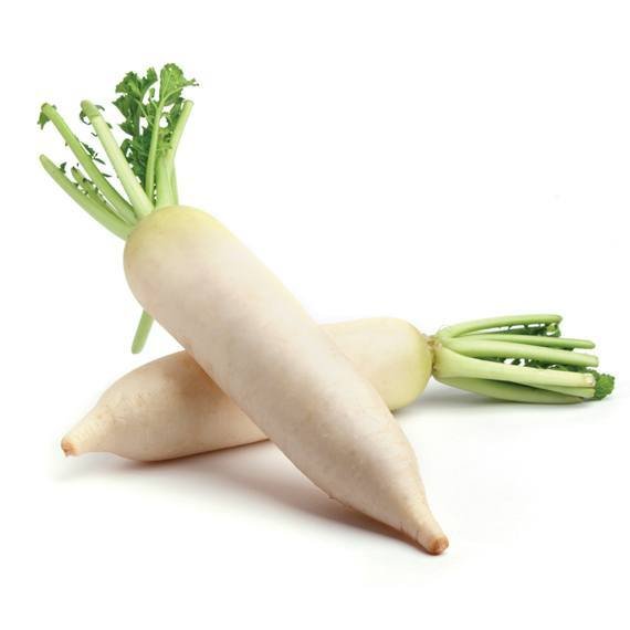 Navet blanc