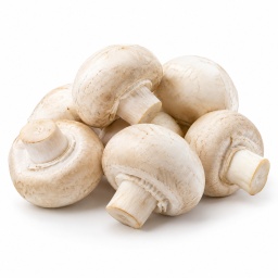 [LP-1066] Champignon frais