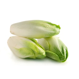 [LP-119] Belgian endive