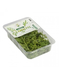 [LP-14] Arugula (U)