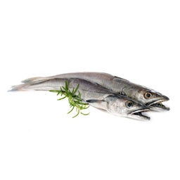 [LP-174] Whiting (kg)