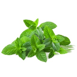 [LP-21] Fresh mint