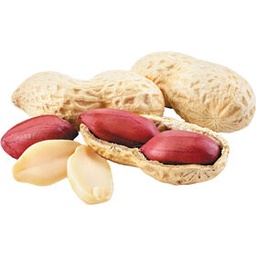 [LP-211] Peanuts (kg)