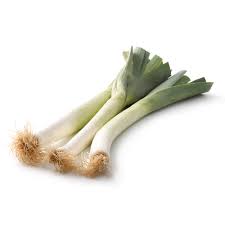 [LP-236] Leek