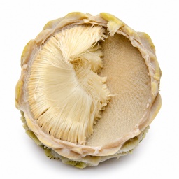 [LP-243] Peeled artichoke (kg)