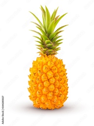 [LP-257] Cayenne pineapple (kg)