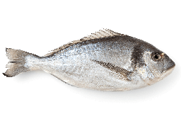 [LP-258] Sea bream (kg)