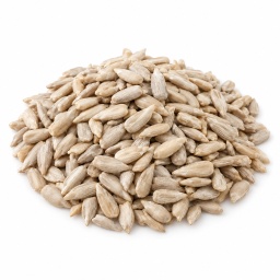 [LP-268] Bulk sunflower seeds (kg)