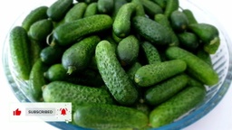[LP-279] Cornichon geant (kg)