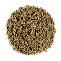 [LP-326] Graines de fenouil 100 g (U)