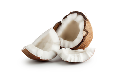 [LP-335] Noix de coco (U)