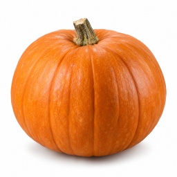 [LP-345] Pumpkin (U)