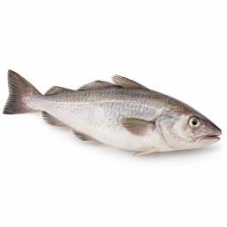 [LP-404] Poisson blanc (kg)