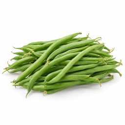 [LP-844] Haricot vert