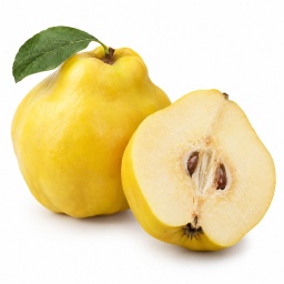 [LP-859] Quince