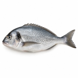 [LP-875] Poisson entier