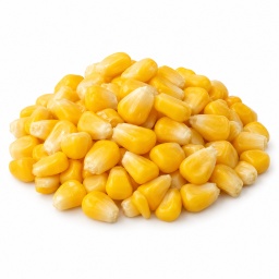 [LP-969] Sweetcorn kernels