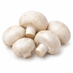 [LP-983] Champignon