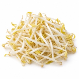 [LP-991] Soybean sprout